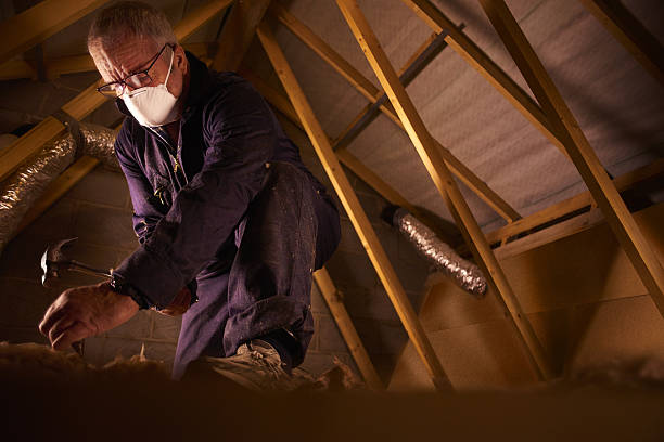 Best Eco-Friendly Insulation in Happy Valley, OR